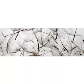 DANDELION SEEDS öntapadós konyhai poszter, 180x60 cm