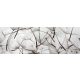 DANDELION SEEDS öntapadós konyhai poszter, 180x60 cm
