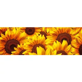HELIANTHUS öntapadós konyhai poszter, 180x60 cm