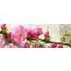 SAKURA öntapadós konyhai poszter, 180x60 cm
