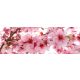 APPLE BLOSSOM öntapadós konyhai poszter, 180x60 cm