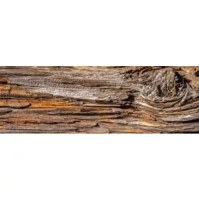 TREE BARK öntapadós konyhai poszter, 180x60 cm