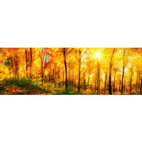 SUNNY FOREST öntapadós konyhai poszter, 180x60 cm