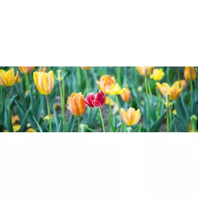 SPRING FLOWERS öntapadós konyhai poszter, 180x60 cm