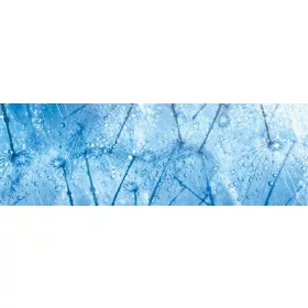 MACRO OF DANDELION öntapadós konyhai poszter, 180x60 cm