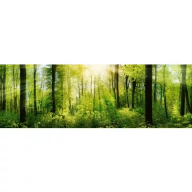 FRESH GREEN TREES öntapadós konyhai poszter, 180x60 cm