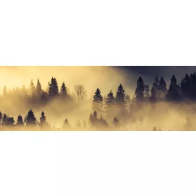   FOREST LANDSCAPE IN MORNING öntapadós konyhai poszter, 180x60 cm