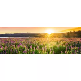 SUNSET OVER FIELD öntapadós konyhai poszter, 180x60 cm