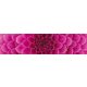 PINK DAHLIA öntapadós konyhai poszter, 260x60 cm