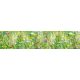 MEADOW WITH FLOWERS öntapadós konyhai poszter, 260x60 cm