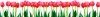 BED OF TULIPS öntapadós konyhai poszter, 350x60 cm