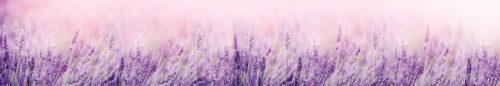 LAVENDER öntapadós konyhai poszter, 350x60 cm