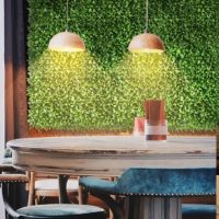 GREEN DESIGNER MŰNÖVÉNY PANELEK  