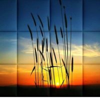 Műbőr nyomtatott faliképek, falvédők