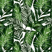 Natúr és természetes mintás dekorfóliák