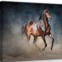 Állatok vászonképek