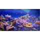 Falburkolat - FLEXWALL Coral - Akvárium halak tenger PVC falpanel