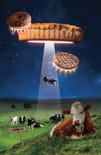 Pite UFO - Mágneses Hűtőposzter